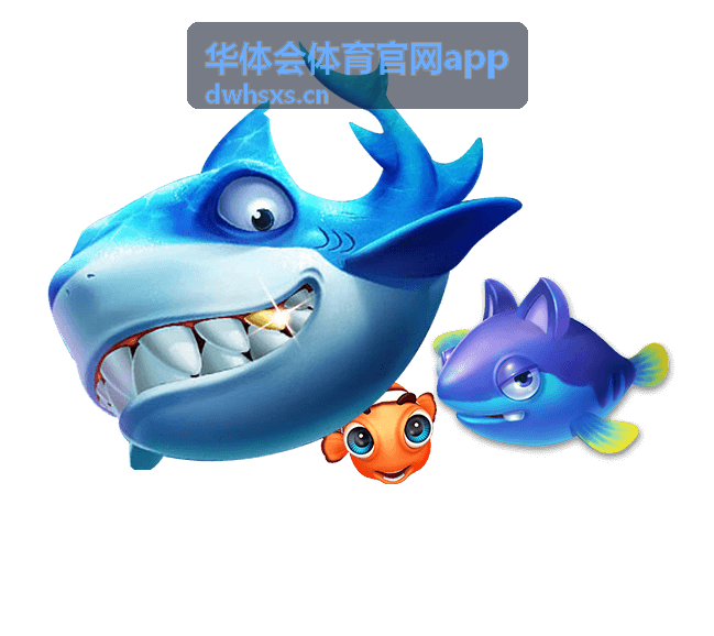华体会体育官网app 直播线路选择与观看示意
